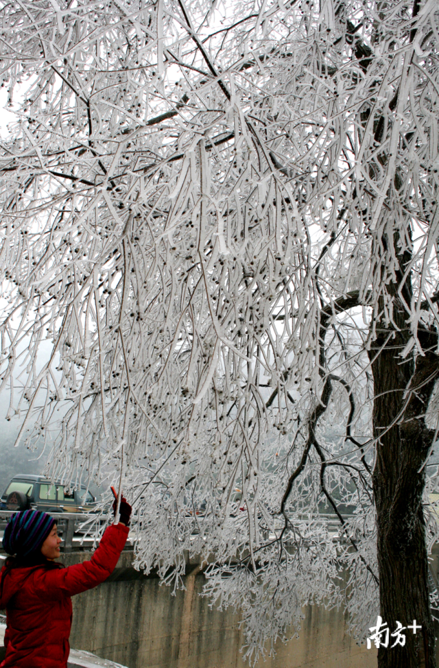 今冬的首場寒潮將于12月29日下午襲擊連州，最冷零下5度，提醒群眾做好御寒準備。黃津 攝
