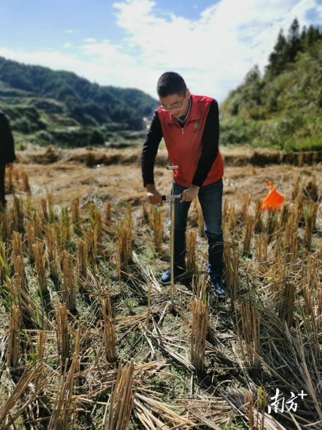 技術人員深入田間地頭開展土壤取樣、分析。通訊員供圖