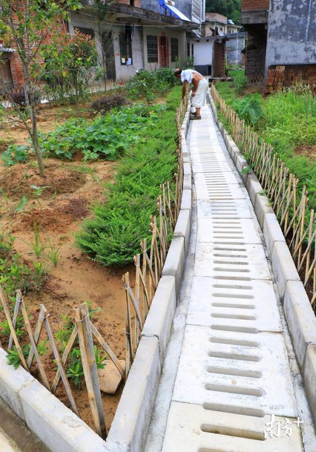 50個自然村建有污水處理系統(tǒng)。記者黃津 攝