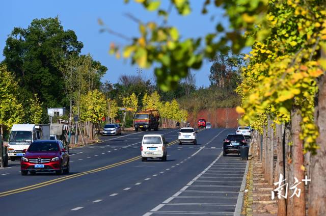 連州近5年累計(jì)投入20億元優(yōu)化升級(jí)交通設(shè)施。黃津 攝