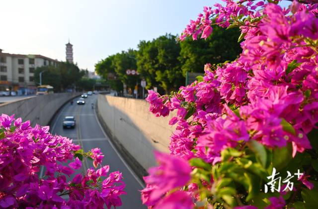 連州織就一張“外聯(lián)內(nèi)暢、城鄉(xiāng)融合”的立體交通藍(lán)圖。黃津 攝