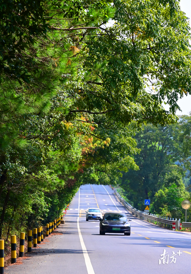 連州“四好農(nóng)村路”省級(jí)示范縣創(chuàng)建考核總分排全省第二。黃津 攝