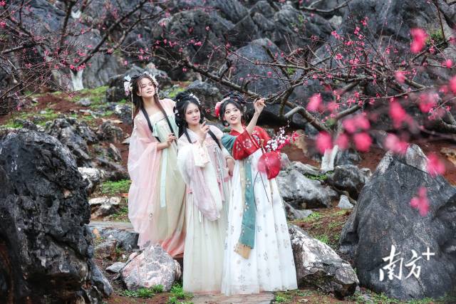 國風(fēng)少女打卡連州桃花季。