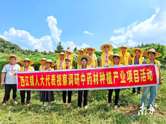代表們實(shí)地調(diào)研，為產(chǎn)業(yè)振興培育新動(dòng)能。 西江鎮(zhèn) 供圖