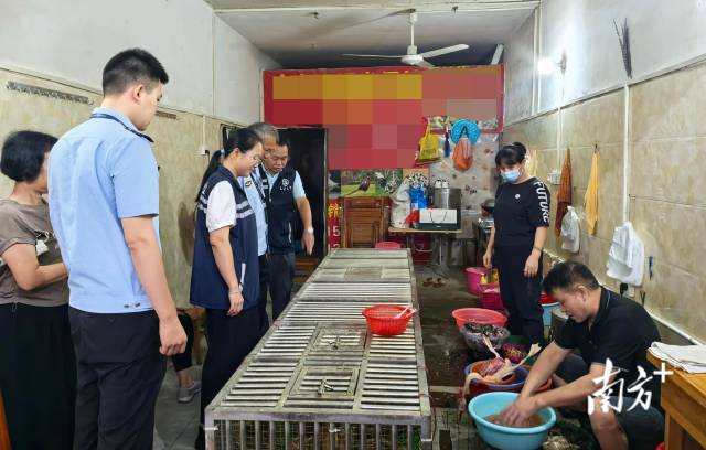 開展聯(lián)合檢查，為鳥類等野生動(dòng)物撐起堅(jiān)實(shí)的“保護(hù)傘”。