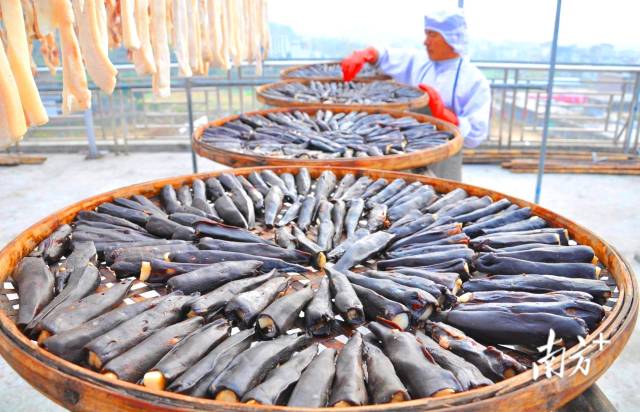 東陂鎮(zhèn)全力把東陂臘味申報為國家級非物質(zhì)文化遺產(chǎn)。黃津 攝