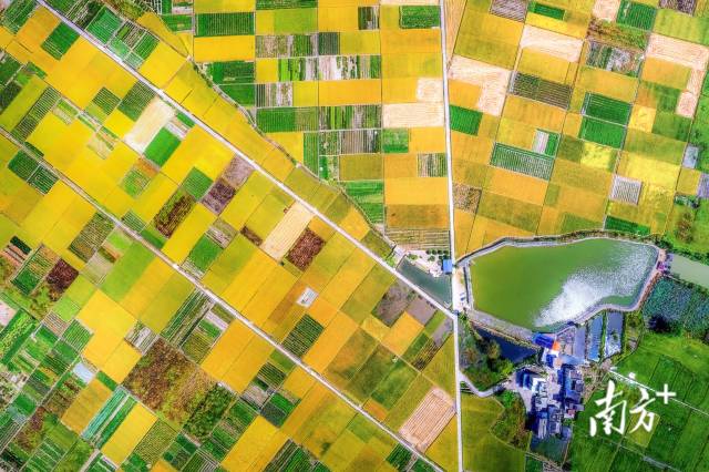 保安鎮(zhèn)立足資源優(yōu)勢擦亮“富硒小鎮(zhèn)”名片。黃月明 攝