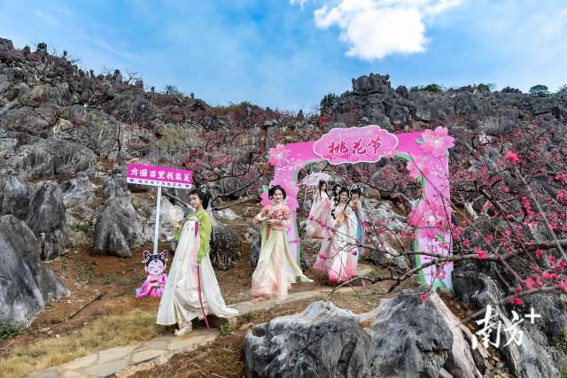石林桃園依托獨(dú)特地貌打造，還布置了桃花主題打卡點(diǎn)。愛地旅游 供圖
