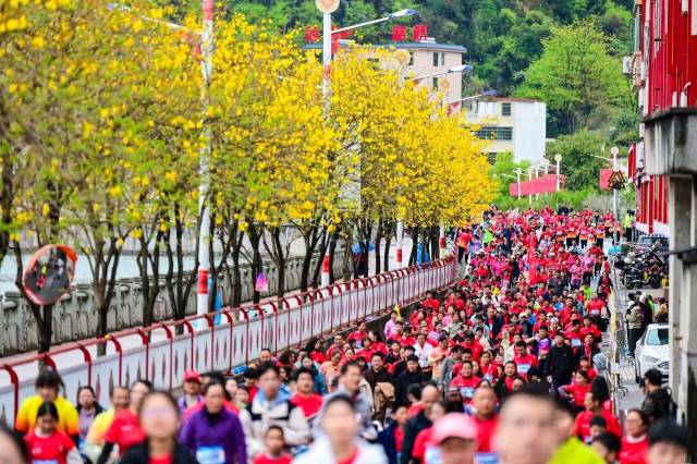 連南半程馬拉松。