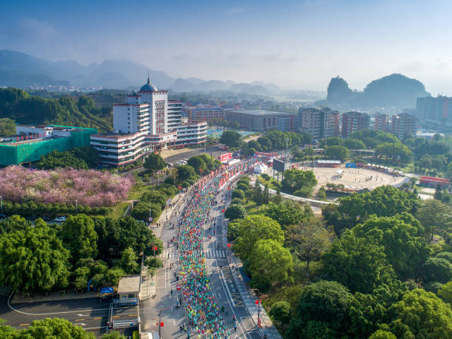 花徑瑤馬，綠美連南。賴文鋒 攝